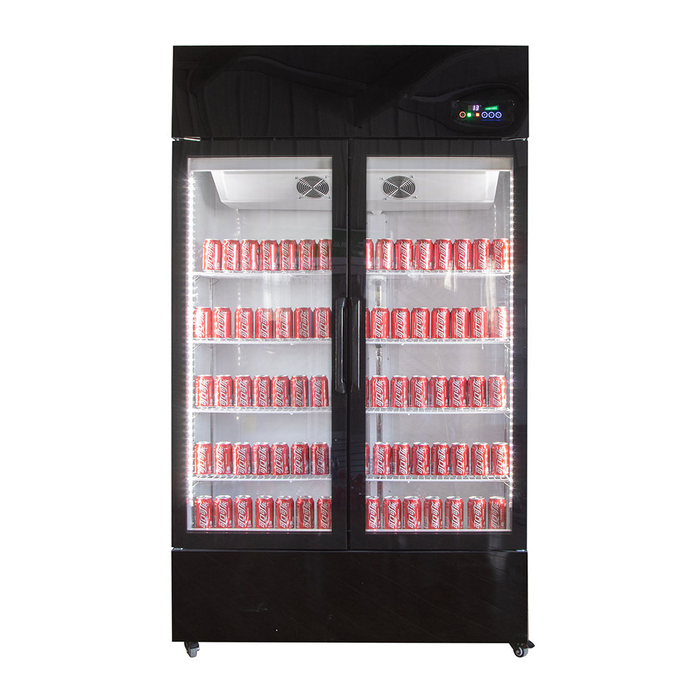 Wine Beer Fridge - Drankjeskoelkast Keuken Wijnkoelkast 2-deurs Wijn- en