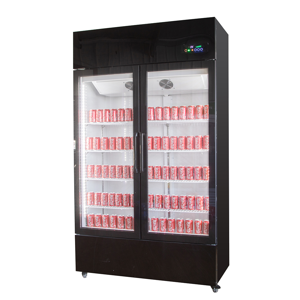 Drankjeskoelkast Keuken Wijnko - Wine Beer Fridge recensie en prijs